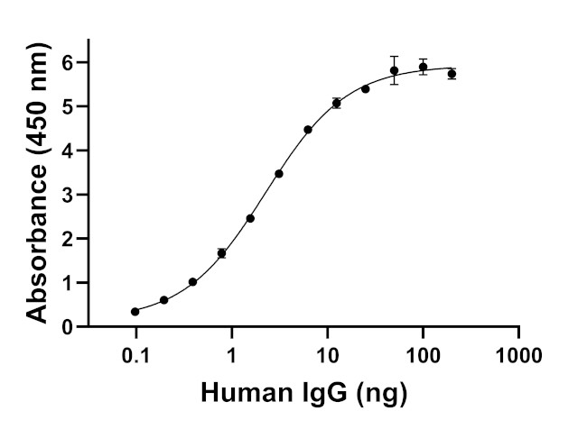 Human IgG (Light chain) Secondary Antibody in ELISA (ELISA)