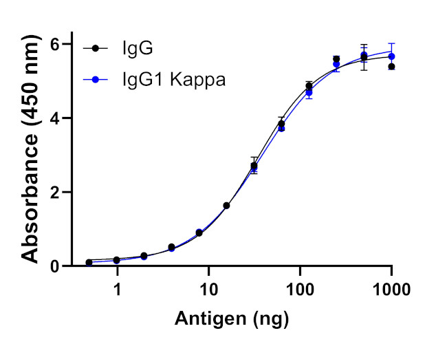 Human IgG (Kappa light chain) Secondary Antibody in ELISA (ELISA)