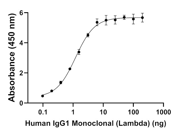 Human IgG (Lambda light chain) Secondary Antibody in ELISA (ELISA)