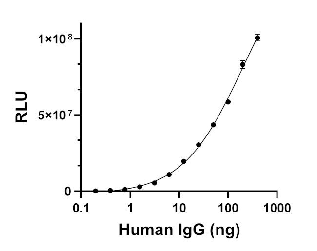 Human IgG Fab Secondary Antibody in ELISA (ELISA)