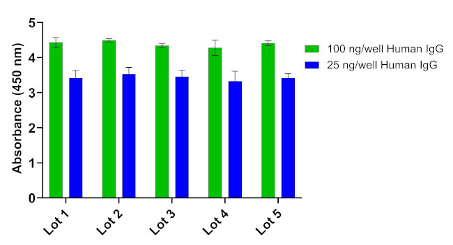 Human IgG Fab Secondary Antibody in ELISA (ELISA)