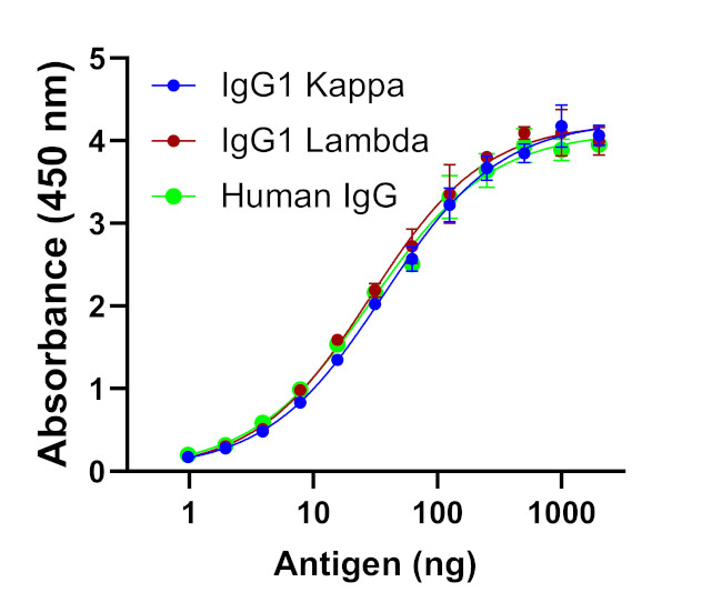 Human IgG Fab Secondary Antibody in ELISA (ELISA)