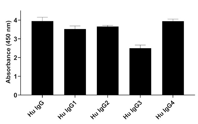 Human IgG Fab Secondary Antibody in ELISA (ELISA)