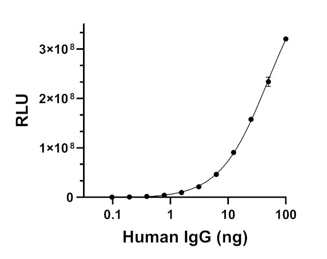 Human IgG (Heavy chain) Secondary Antibody in ELISA (ELISA)