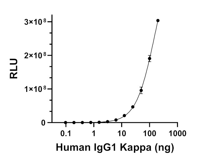 Human IgG (Kappa light chain) Secondary Antibody in ELISA (ELISA)