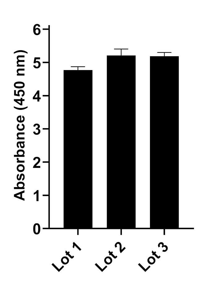 Human IgG (Kappa light chain) Secondary Antibody in ELISA (ELISA)