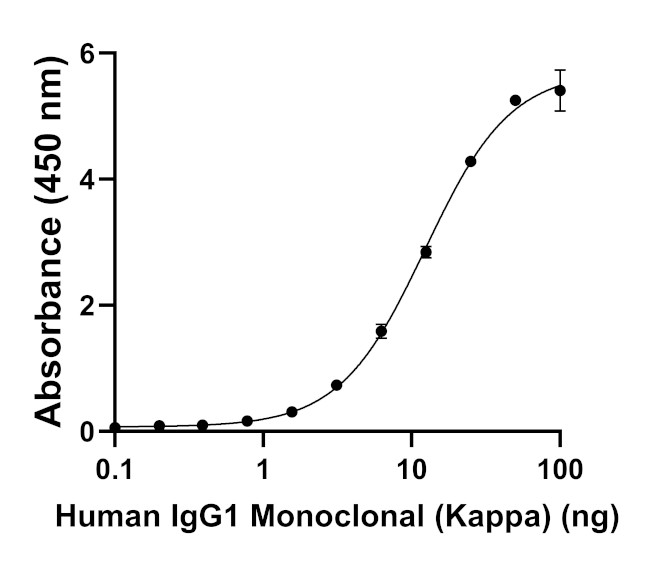 Human IgG (Kappa light chain) Secondary Antibody in ELISA (ELISA)