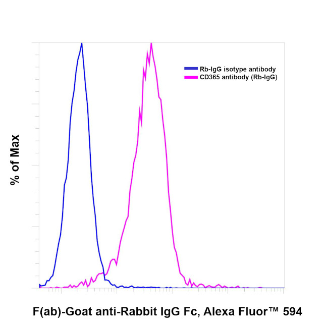 Rabbit IgG Fc Secondary Antibody in Flow Cytometry (Flow)