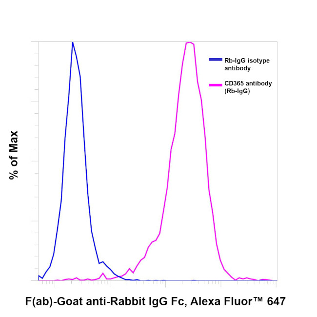 Rabbit IgG Fc Secondary Antibody in Flow Cytometry (Flow)