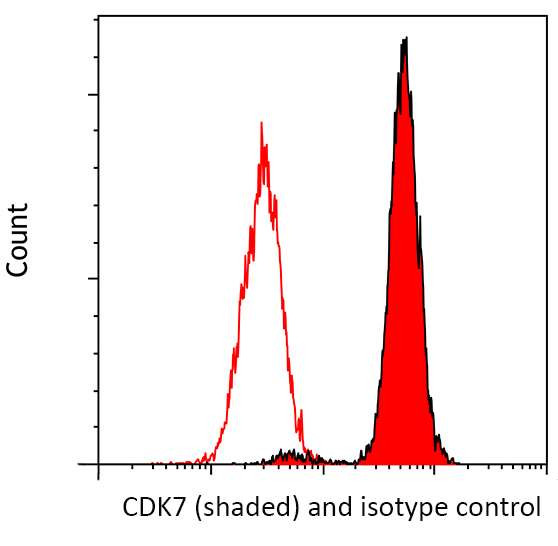 CDK7 Antibody in Flow Cytometry (Flow)