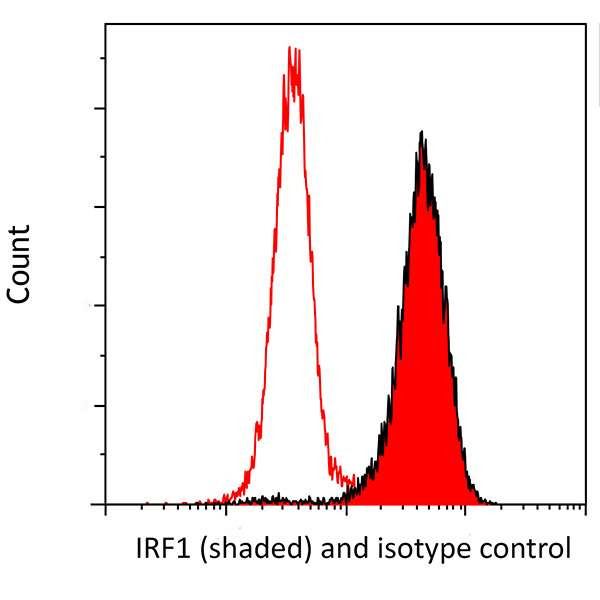 IRF1 Antibody in Flow Cytometry (Flow)