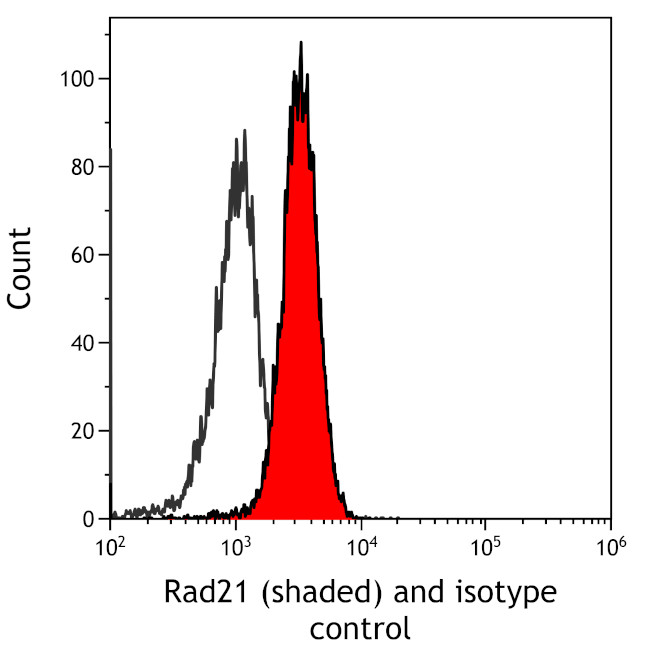 Rad21 Antibody in Flow Cytometry (Flow)