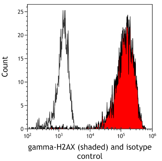 gamma-H2AX Antibody in Flow Cytometry (Flow)