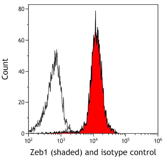 ZEB1 Antibody in Flow Cytometry (Flow)