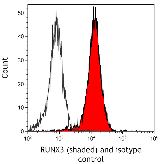 RUNX3 Antibody in Flow Cytometry (Flow)