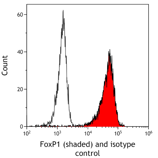 FOXP1 Antibody in Flow Cytometry (Flow)