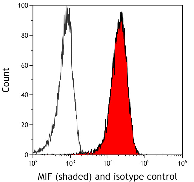 MIF Antibody in Flow Cytometry (Flow)