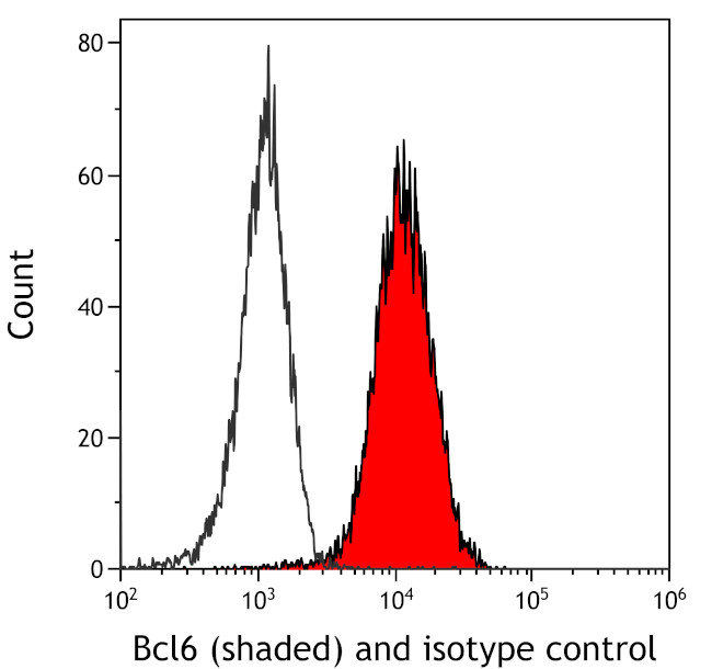 Bcl6 Antibody in Flow Cytometry (Flow)