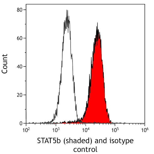 STAT5b Antibody in Flow Cytometry (Flow)