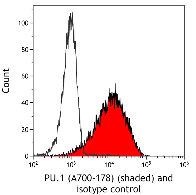 PU.1 Antibody in Flow Cytometry (Flow)