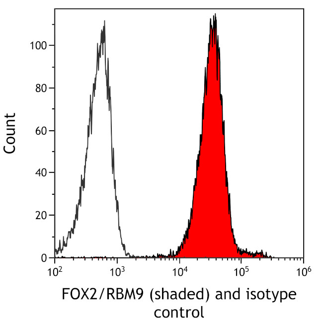 FOX2/RBM9 Antibody in Flow Cytometry (Flow)