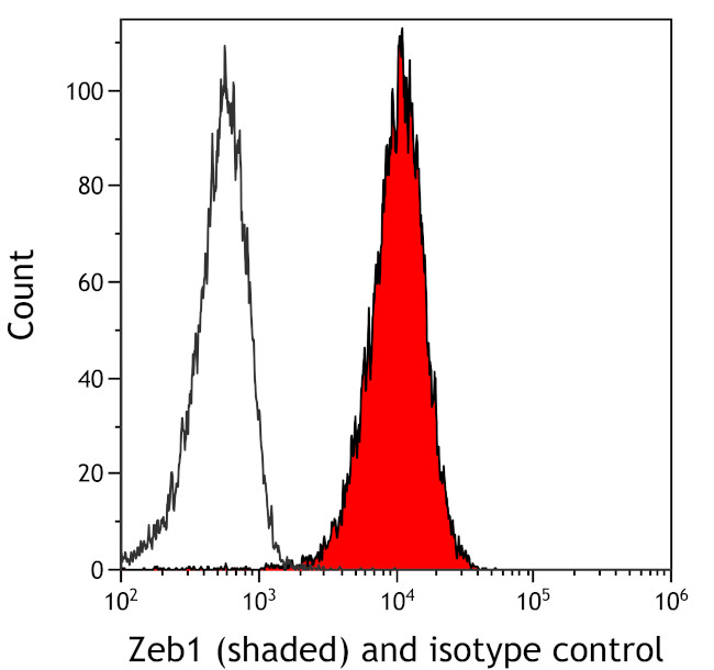 ZEB1 Antibody in Flow Cytometry (Flow)