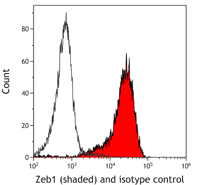 ZEB1 Antibody in Flow Cytometry (Flow)