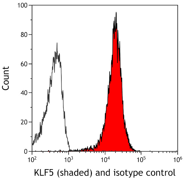 KLF5 Antibody in Flow Cytometry (Flow)