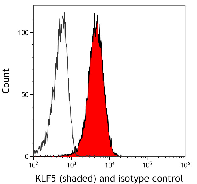 KLF5 Antibody in Flow Cytometry (Flow)