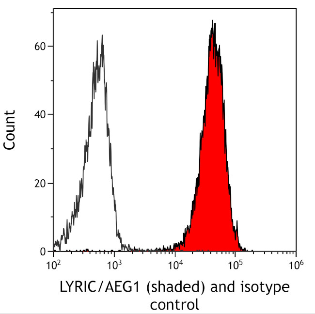 LYRIC/AEG1 Antibody in Flow Cytometry (Flow)