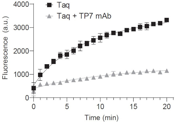 Taq Polymerase Antibody in Functional Assay (FN)