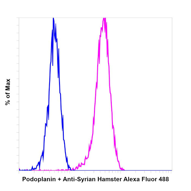 Syrian Hamster IgG (H+L) Highly Cross-Adsorbed Secondary Antibody in Flow Cytometry (Flow)