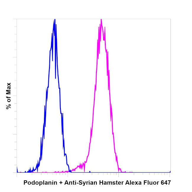 Syrian Hamster IgG (H+L) Highly Cross-Adsorbed Secondary Antibody in Flow Cytometry (Flow)