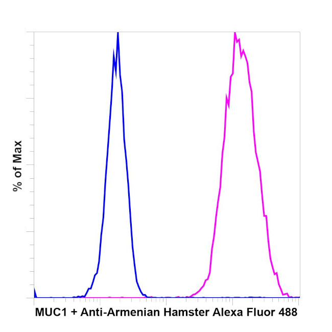 Armenian Hamster IgG (H+L) Highly Cross-Adsorbed Secondary Antibody in Flow Cytometry (Flow)