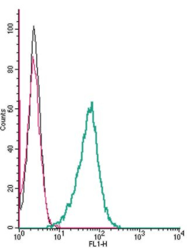 alpha 1A-Adrenergic Receptor (extracellular) Antibody in Flow Cytometry (Flow)