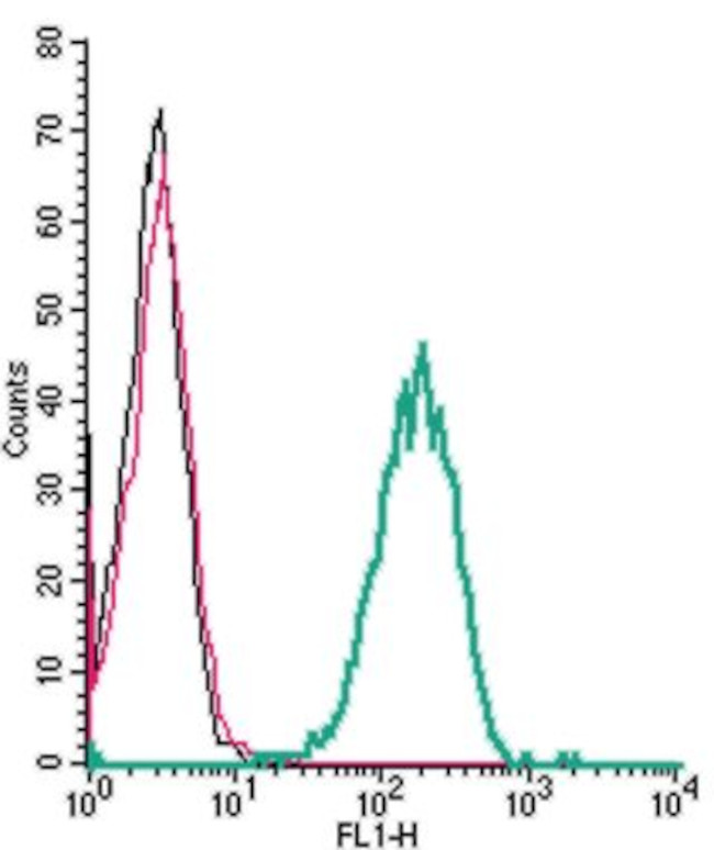 beta 1-Adrenergic Receptor (extracellular) Antibody in Flow Cytometry (Flow)