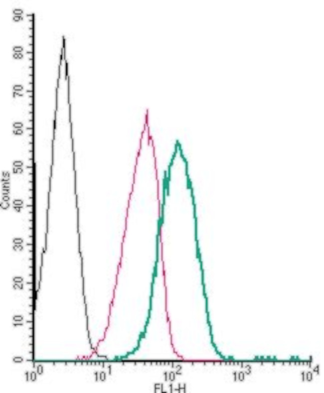 beta 1-Adrenergic Receptor (extracellular) Antibody in Flow Cytometry (Flow)