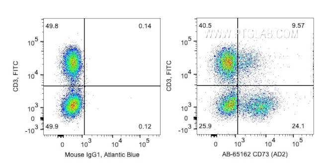 CD73 Antibody in Flow Cytometry (Flow)