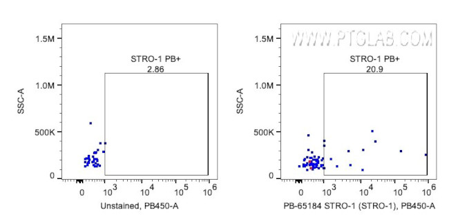 STRO-1 Antibody in Flow Cytometry (Flow)