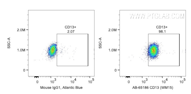 CD13 Antibody in Flow Cytometry (Flow)