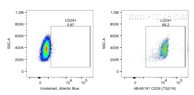 CD29 Antibody in Flow Cytometry (Flow)