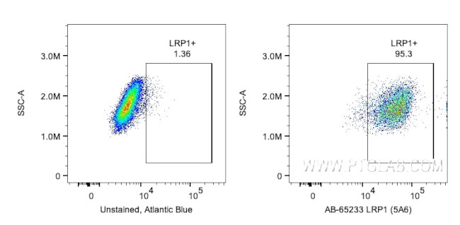 LRP1 Antibody in Flow Cytometry (Flow)