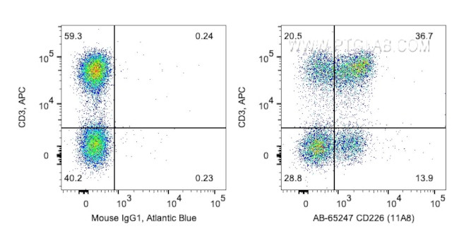 CD226 Antibody in Flow Cytometry (Flow)