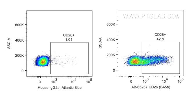 CD26 Antibody in Flow Cytometry (Flow)