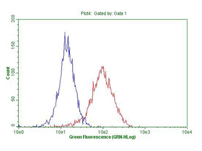 ABCB1 Antibody in Flow Cytometry (Flow)