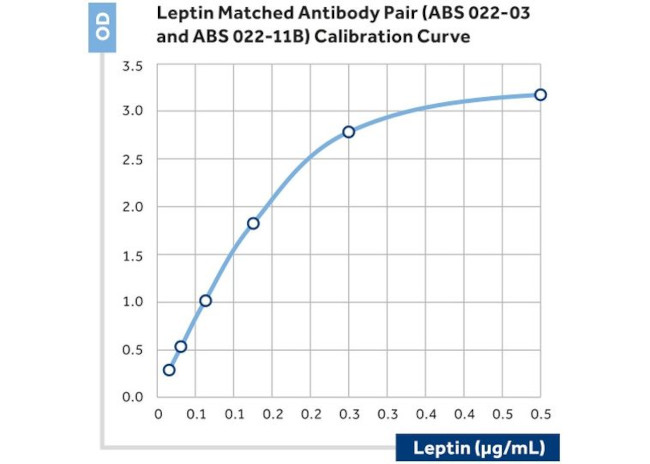 Leptin Antibody in ELISA (ELISA)