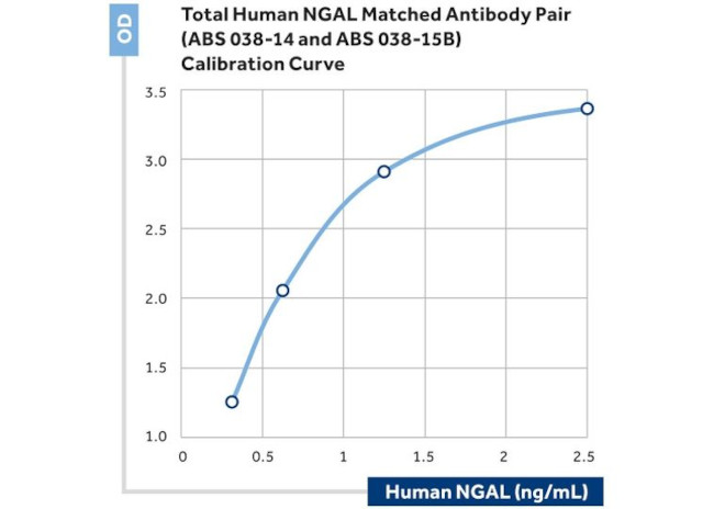 NGAL Antibody in ELISA (ELISA)