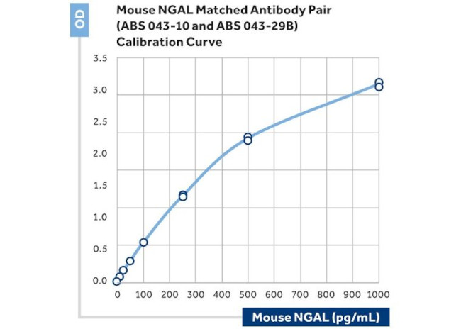 NGAL Antibody in ELISA (ELISA)