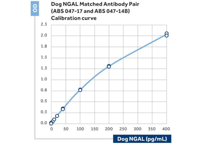 NGAL Antibody in ELISA (ELISA)