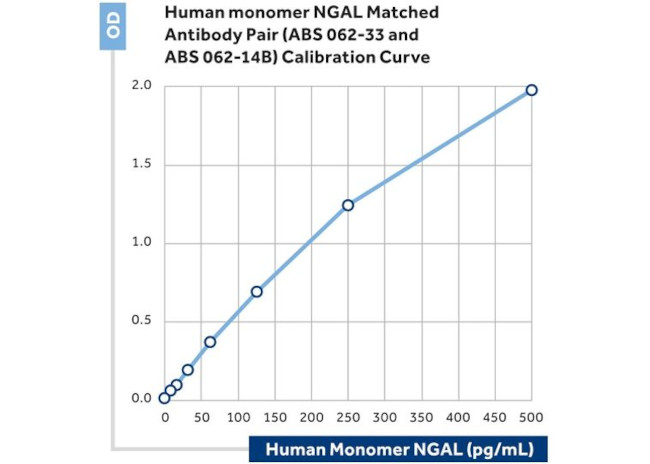 NGAL Antibody in ELISA (ELISA)